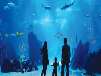 Antalya Aquarium’un Temeli Atıldı