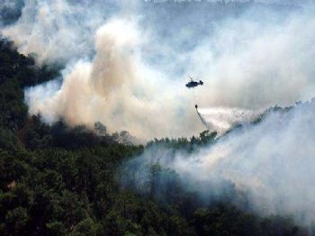 Balıkesir Son 30 Yılın En Az Yangın Senonunu Yaşadı