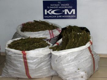 Batman'daki Esrar Operasyonunda 11 Kişi Tutuklandı