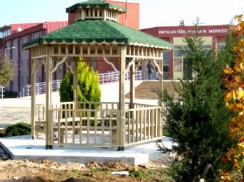 Biga’da Kampüs Bahçesinde Kamelya Keyfi