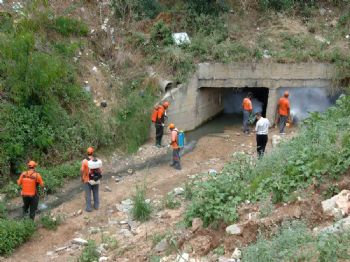 Büyükşehir'den 5.5 Milyon Tl'lik 'vektörel' Mücadele