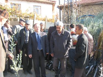 DAĞDERE - Hortumdan Zarar Gören Çiftçiye Fidan Desteği Verildi