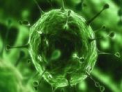 Katliam virüsü icat ettiler