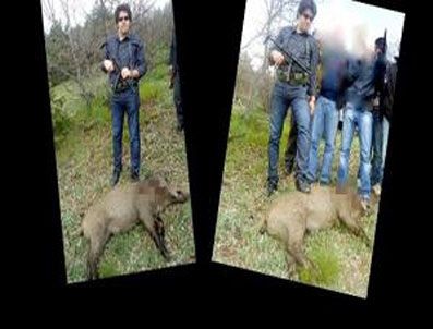 Kaymakamın domuzlu fotoğrafı başına dert oldu