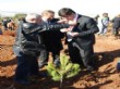 Şehitkamil Belediyesi 5 Bin Fidanı Toprakla Buluşturdu