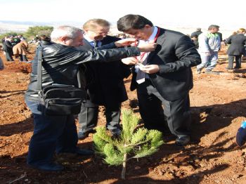 UĞUR TURAN - Şehitkamil Belediyesi 5 Bin Fidanı Toprakla Buluşturdu