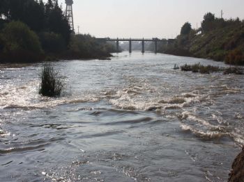 LÜTFÜ SAVAŞ - Suriye Asi Nehrini Kirletiyor