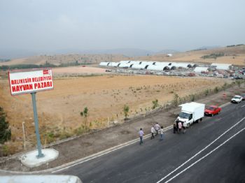 Balıkesir Belediyesi Hayvan Pazarı`na Ek Otobüs Seferleri Koyuldu
