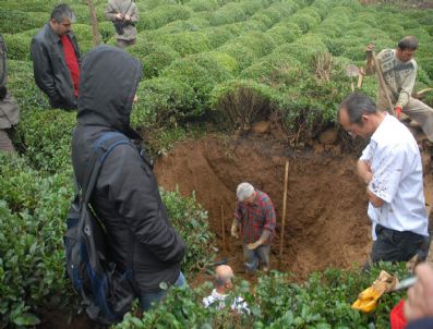 Defineden Umutlarını Kesmediler