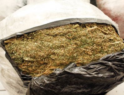 Kayseri Polisi 58 Kilo Esrar Ele Geçirdi