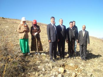 NIYAZI ERTEN - Kelkit’te “akasya Bal Ormanları” Projesi Devam Ediyor