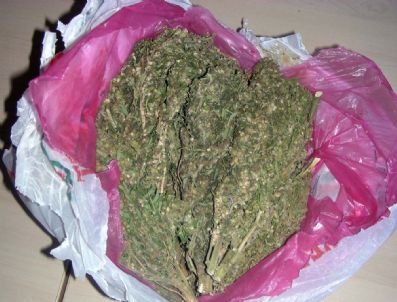 Muş`ta Uyuşturucu Operasyonu