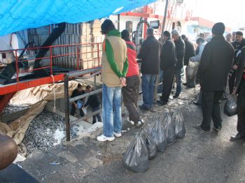 Zonguldak`ta Torbası 5 Liraya Hamsi