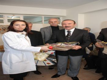 SABIT KAYA - İzmek'te Hedef 10 Bin Kursiyer