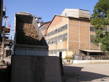 KARAPAPAK - Malatya Şeker Fabrikası'nda Pancar Alım Kampanyası  Hafta Sonunda Tamamlanacak