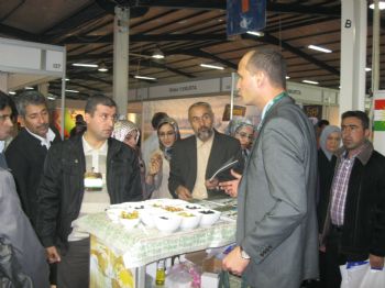 Türk Zeytininin Yüzde 15’ini İraklılar Yedi