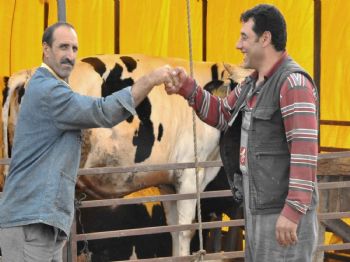 KABRISTAN - Aliağa Belediyesi, Bayram Hazırlıklarını Tamamladı