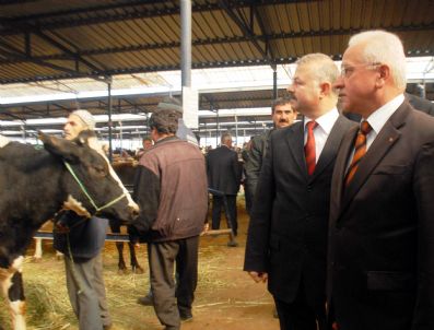 SEBAHATTIN AKKAYA - Belediye Başkanı Akkaya Kurban Pazarını Gezdi