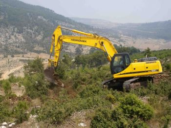 Orman Bölgede Hedef 8,5 Milyon Fidan Dikmek