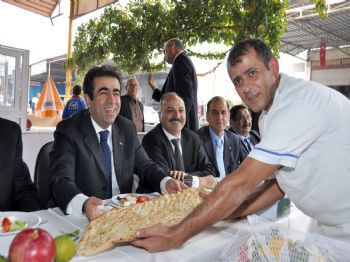 KAMIL KıCıROĞLU - 