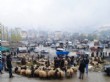 Hakkari’de Kar Yağışı Kurbanlık Satışlarını Olumsuz Etkiliyor