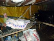 Kurban Çadırında Bir Gece