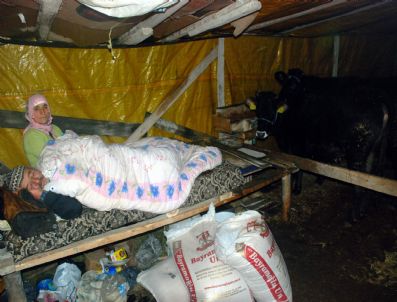 Kurban Çadırında Bir Gece