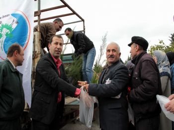 Kurumlardan 7 Bin 250 Ücretsiz Fidan