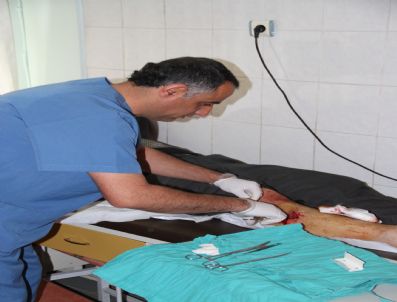 Acemi Kasaplar Yine Hastanelik Oldu