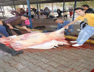 Afyonkarahisar`da Kurban Bayramı