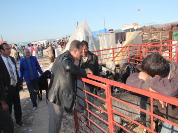 Başkan Tuna Kurban Satış ve Kesim Yerlerini Gezdi