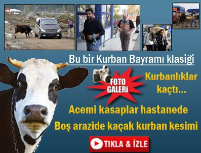 Bu bir Kurban Bayramı klasiği!