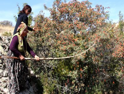 En Tatlı Bayram Hediyesi