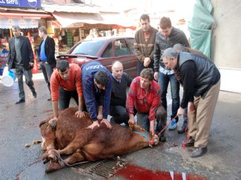 Ereğli`de Huzurlu Bayram