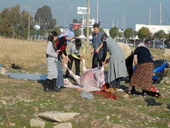 İzmir`de Kurban Bayramı Coşkuyla Eda Ediliyor