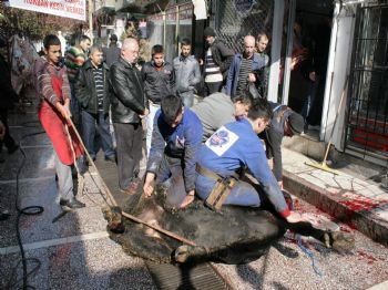 Kurban Bayramı Afyonkarahisar’da Coşkuyla Kutlanıyor