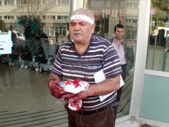 Sadece Acemi Kasaplar Kendini Kesmedi