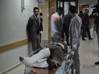 Üzerine Dana Düşen Kasabın Ayağı Kırıldı