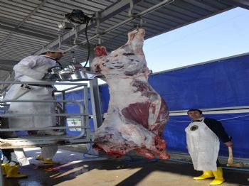 Yenimahalle Belediyesi’nden Vatandaşlara Kurban Hizmeti