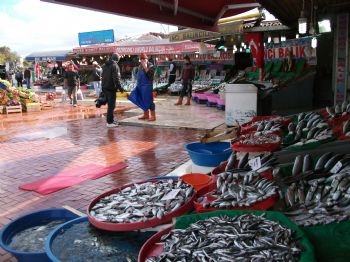 KUMKAPı - Kurban Bayramında Balık Satışları Düştü (özel)