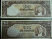 Merkez Bankası Bastığı Paraları Arıyor