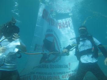 HAYVAN HAKLARı FEDERASYONU - Dalgıçlar Yunuslar İçin Dalış Yaptı