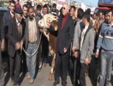 ENSAR ÖĞÜT - Eylemci CHP'li milletvekiline polis engeli