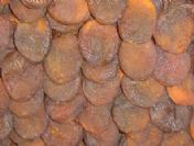 Kaliteli kuru kayısının fiyatı arttı