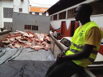 UGANDA - Uganda`da Sunderlilere Sevgi Seli