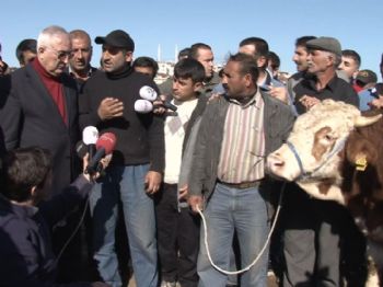 ENSAR ÖĞÜT - Yol Kapatmak İsteyen Chp`li Vekili Polis Durdurdu