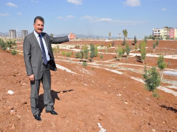 HAMIT TUNA - Toroslar’da Yeşil Alan Atağı