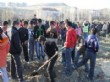 Çubuk’ta Bin 500 Fidan Toprakla Buluştu