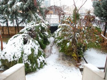 Kar Yağışı Diyarbakır'ı Teslim Aldı