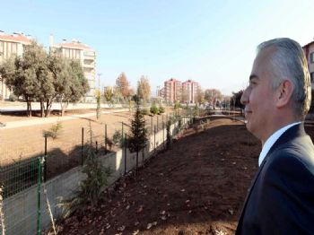 Zeytinköy’e 25 Bin Metrekarelik Park Yapılıyor